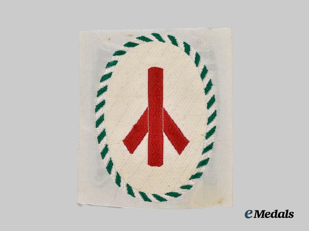 germany,_h_j._a_mint_senior_medical_orderly_sleeve_insignia___m_n_c6959