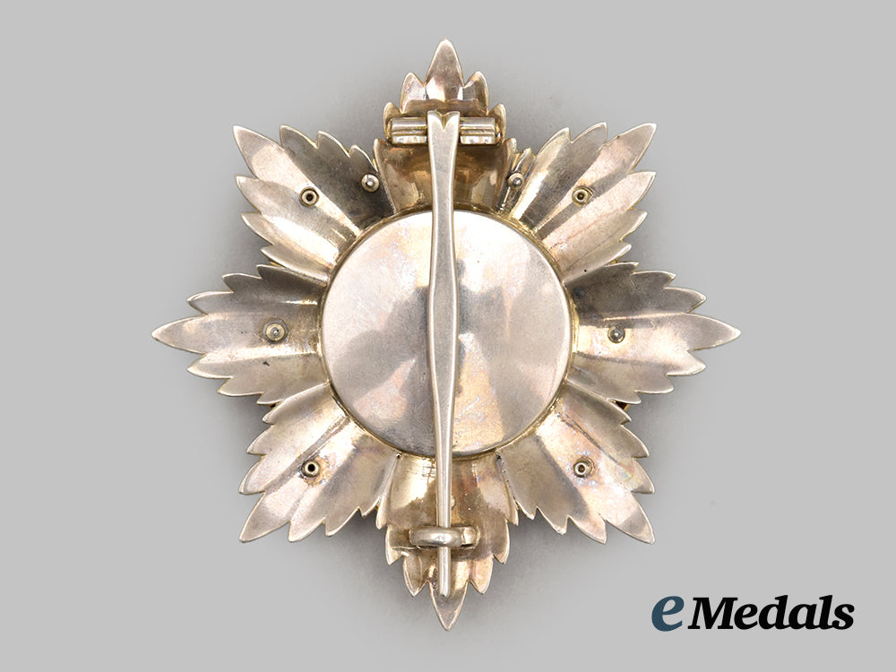 oldenburg,_grand_duchy._a_rare_house_and_merit_order_of_peter_friedrich_ludwig,_grand_cross_with_swords,_oak_leaves,_and_breast_star,_published_example_by_knauer___m_n_c7007