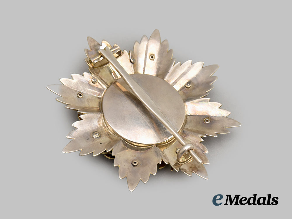 oldenburg,_grand_duchy._a_rare_house_and_merit_order_of_peter_friedrich_ludwig,_grand_cross_with_swords,_oak_leaves,_and_breast_star,_published_example_by_knauer___m_n_c7008