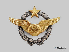 A French Air Force Navigator Qualification Badge