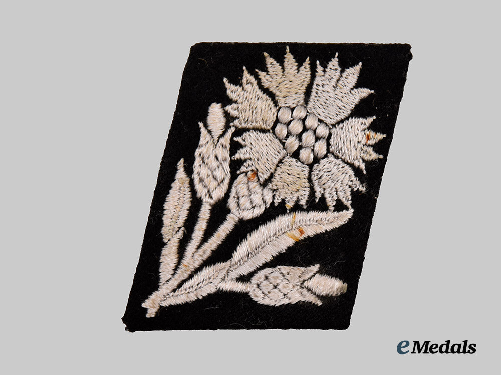germany,_s_s._a_rare_waffen-_s_s22nd_volunteer_kavallerie_division“_maria_theresia”_collar_tab___m_n_c7119