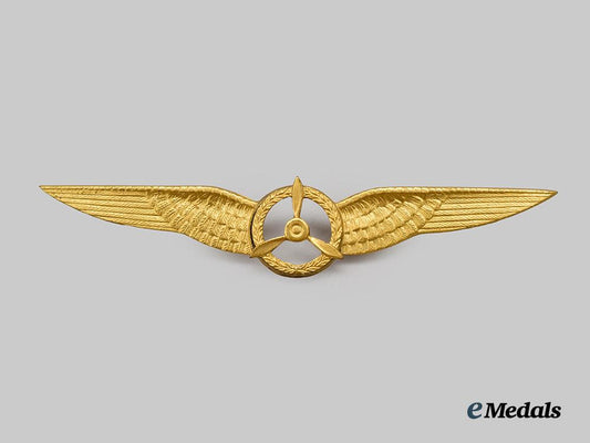 a_royal_netherlands_army_air_flight_mechanic_qualification_badge___m_n_c7134