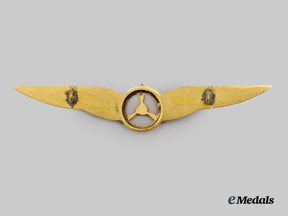 a_royal_netherlands_army_air_flight_mechanic_qualification_badge___m_n_c7136