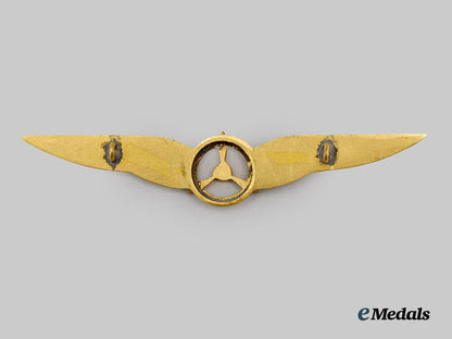 a_royal_netherlands_army_air_flight_mechanic_qualification_badge___m_n_c7136