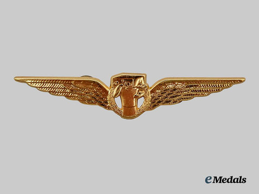 a_royal_netherlands_army_air_photographer_qualification_badge___m_n_c7140