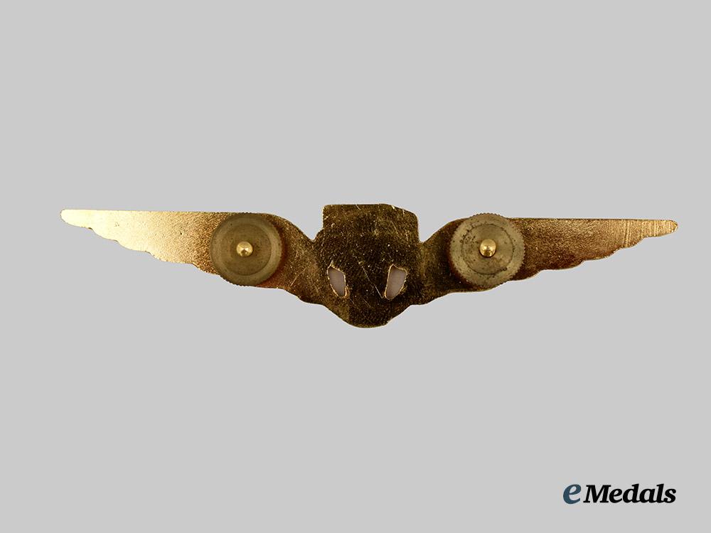 a_royal_netherlands_army_air_photographer_qualification_badge___m_n_c7142