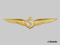 A Royal Netherlands Army Air Flight Surgeon Qualification Badge