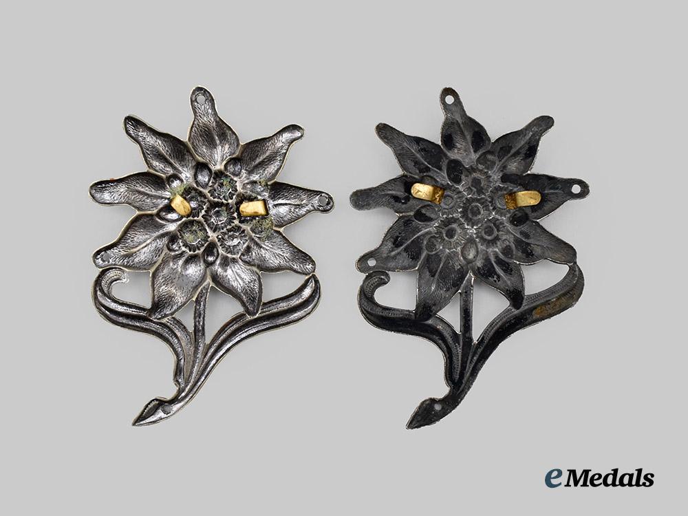 germany,_heer._a_pair_of_gebirgsjäger_cap_insignia___m_n_c7474