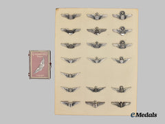 United States. A Lot of Twenty United States Air Force and Army Air Force Shirt Lapel Wings
