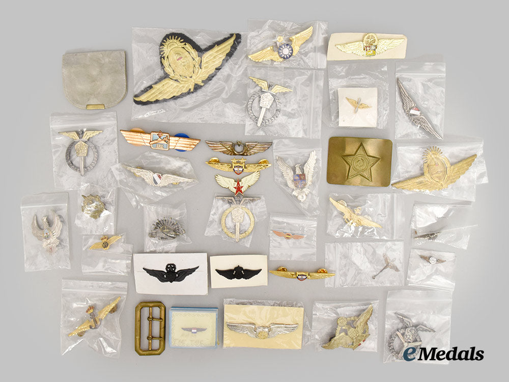 international._a_lot_of_thirty-_six_military&_civilian_wings,_two_belt_buckles&_insignia_set___m_n_c7638-(1)