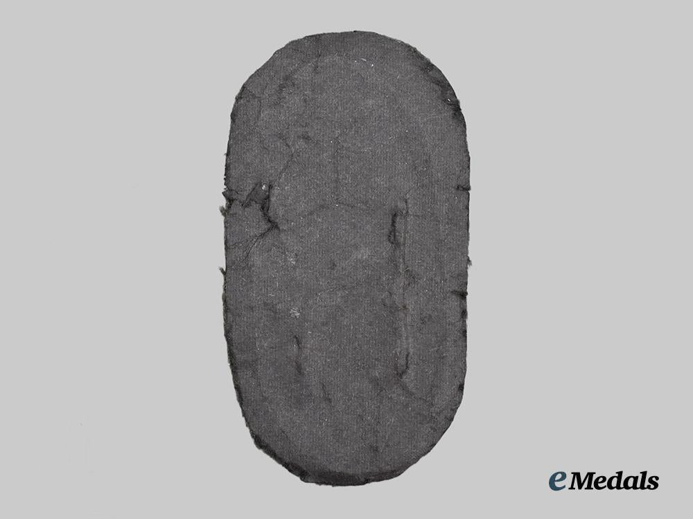germany,_wehrmacht._a_heer_issue_narvik_campaign_shield___m_n_c8408