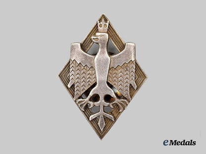 poland,_i_i_republic._a_haller_corps_badge___m_n_c8443