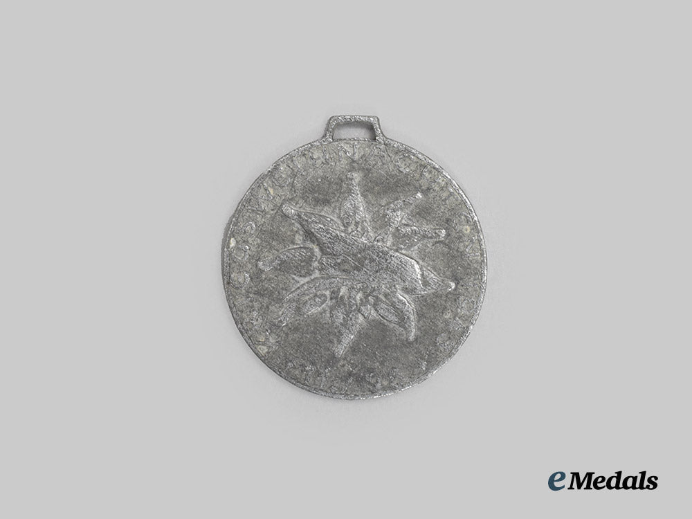 germany,_heer._a_gebirgsjäger-_regiment98_anti-_partisan_campaign_christmas1943_commemorative_medal___m_n_c8463
