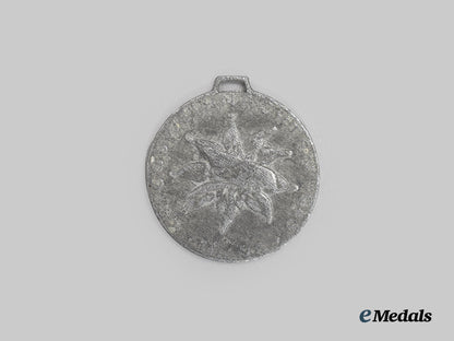 germany,_heer._a_gebirgsjäger-_regiment98_anti-_partisan_campaign_christmas1943_commemorative_medal___m_n_c8463
