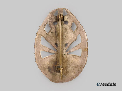 slovakia,_republic._a_badge_of_honour_for_eastern_front_service,_silver_grade___m_n_c8479