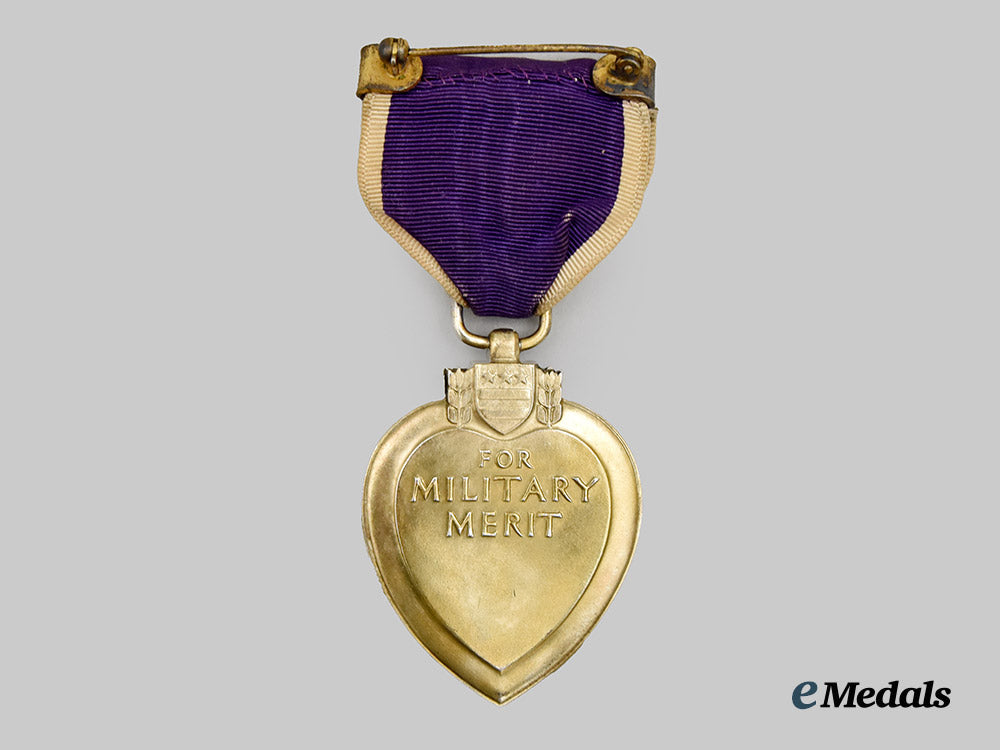 united_states._a_cased_purple_heart_medal_in_silver___m_n_c8910