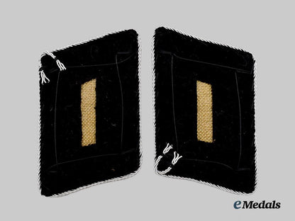 germany,_s_s._a_rare_and_mint_set_of_s_s-_standartenführer_collar_tabs,_third_pattern___m_n_c9349