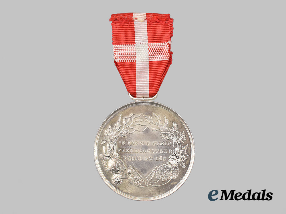 denmark,_kingdom._a_medal_for_saving_life_from_drowning,_type_v_i_i_with_king_christian_i_x,_c.1863-1906___m_n_c9496
