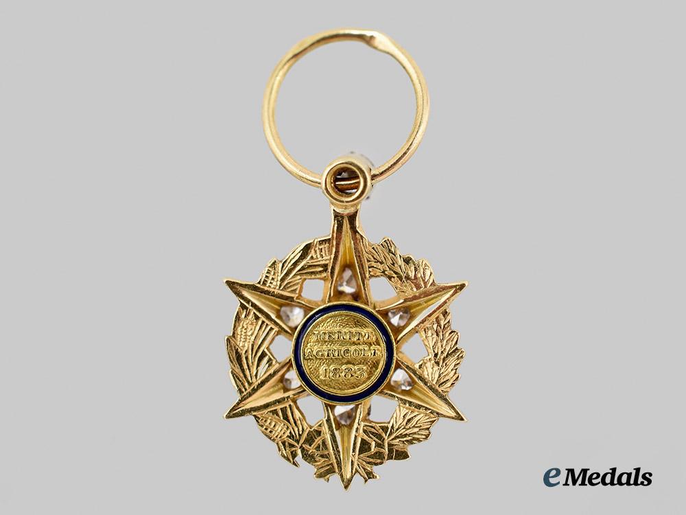 france,_republic._an_order_of_agricultural_merit,_miniature_in_gold_and_diamonds,_by_chobillon___m_n_c9545