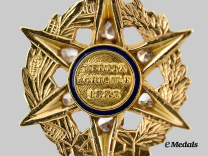 france,_republic._an_order_of_agricultural_merit,_miniature_in_gold_and_diamonds,_by_chobillon___m_n_c9548