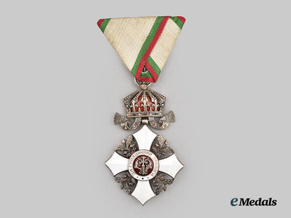 bulgaria,_kingdom._an_order_of_civil_merit,_v_class_in_case___m_n_c9720