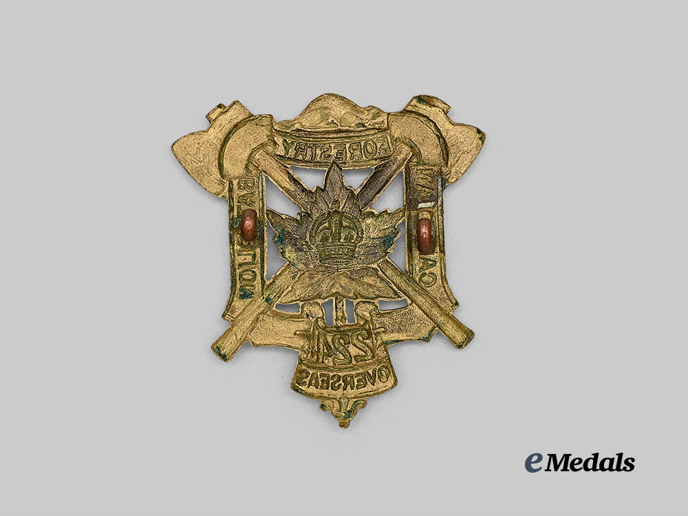 canada,_c_e_f._a224th_infantry_battalion“_canadian_forestry_battalion”_cap_badge_e_medals__c7273_3