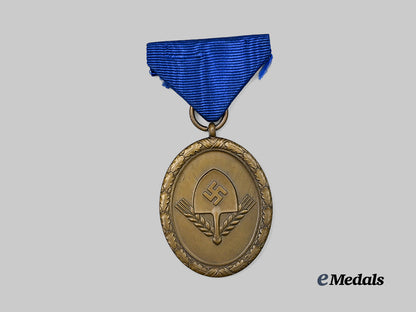 germany,_rad._a_long_service_award_for_men;4_th_class_light_version_e_medals__g61772_2