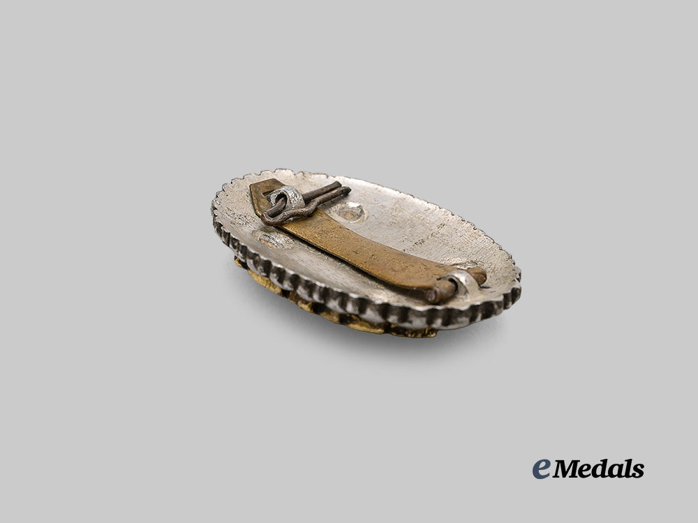 japan,_empire._a_field_officer’s_badge_e_medals__m0332-41_4