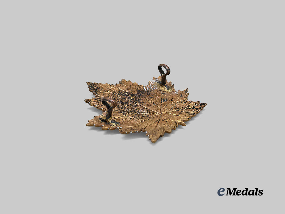 canada,_c_e_f._a2nd_infantry_battalion"_eastern_ontario_regiment"_cap_badge_e_medals__c7538_4