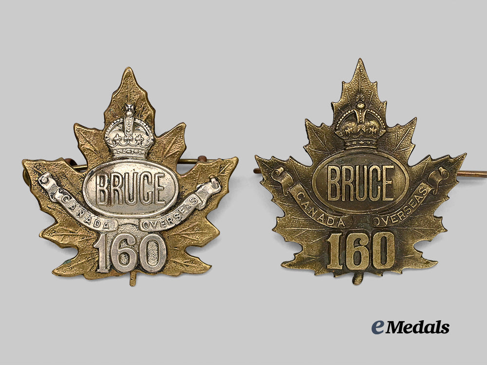 canada,_c_e_f._an_officer_and_n_c_ms160th_bruce_battalion_cap_badge_e_medals__c7266_2