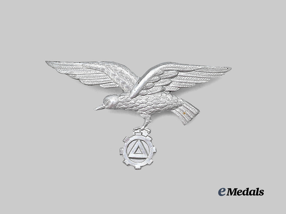 belgium,_v_n_v._a_flemish_factory_guard_cap_eagle_e_medals__e_u24920_2