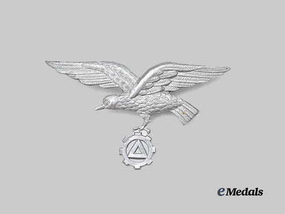belgium,_v_n_v._a_flemish_factory_guard_cap_eagle_e_medals__e_u24920_2