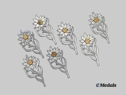 germany,_s_a._a_lot_of_edelweiss_cap_insignia_for_s_a-_gruppe_hochland_e_medals__g62870_2