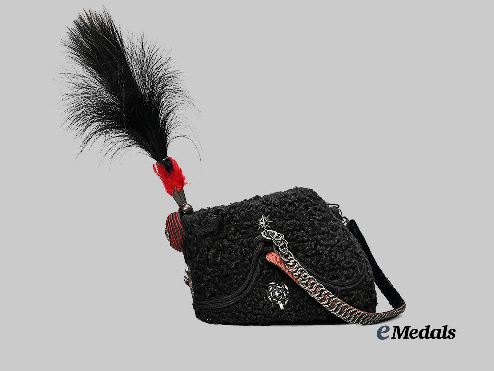 canada._a_queen’s_own_rifles_busby_with_plume_and_metal_case_e_medals__m0432-254_7