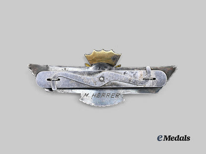 spain,_spanish_state._a_rare_pilot_and_observer_wing,_owner-_attributed_example,_by_rokiski_e_medals__e_u24848_4