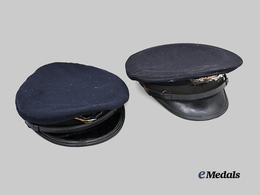 japan,_empire._a_pair_of_officer's_visors_e_medals__w8665_2