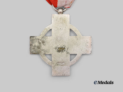 germany,_third_reich._a_fire_brigade_honour_award,_i_i_class_with_period_case,_by_glaser&_sohn_e_medals__g62882_8