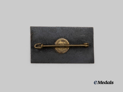 germany,_s_a._a_rare1939_s_a-_gebirgsjägerstandarte4_ski_competition_commemorative_badge,_by_alois_klammer_e_medals__g62813_3