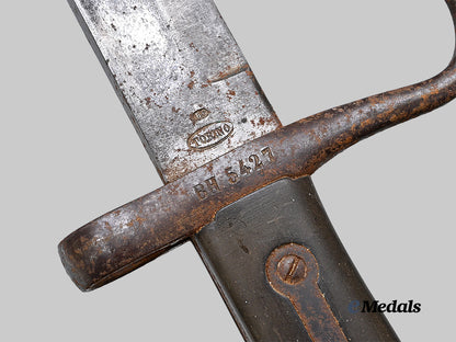 italy,_kingdom._an_m1871/1915_vetterli_rifle_bayonet_e_medals__e_u24847_10