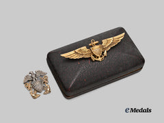United States. A Naval Aviation Pilots Wings and US Navy Officer’s Insignia