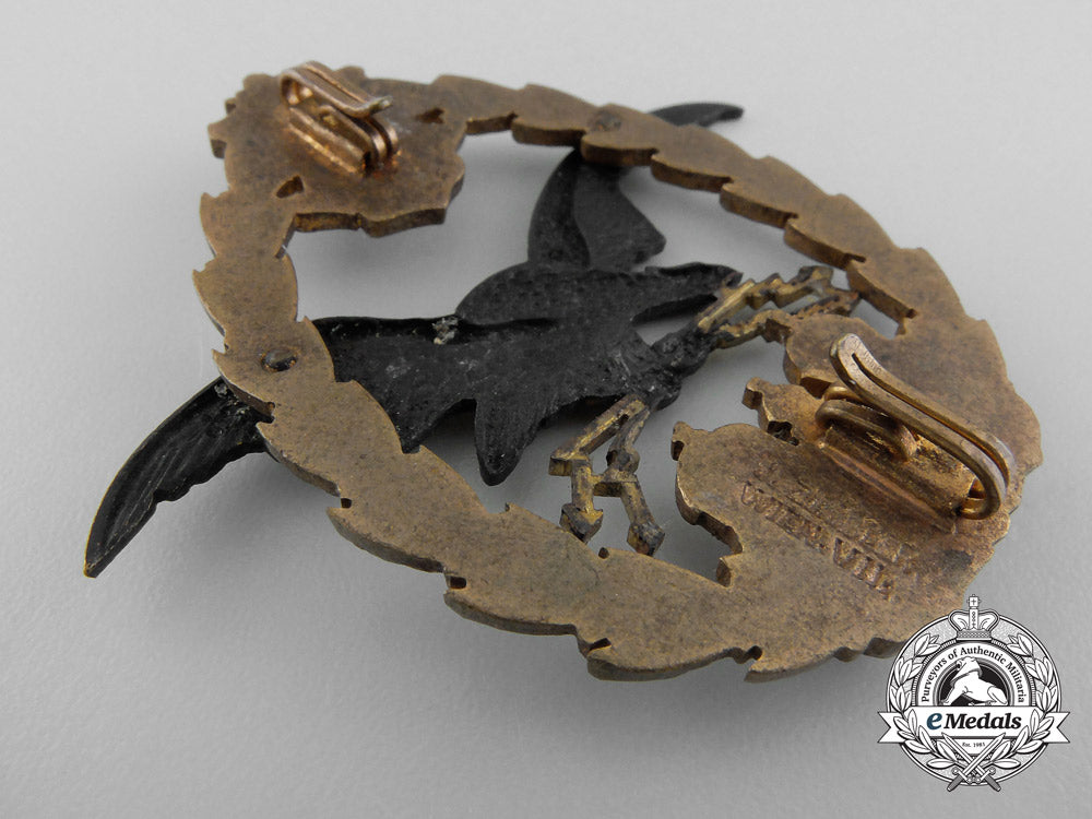 a_first_war_austrian_general_flying_badge1917-18&_photo_of_flyers_a_0127_1