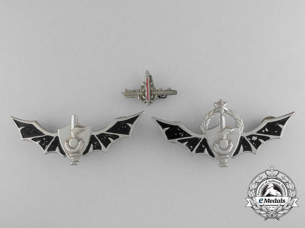 three_israeli_badges_a_0424