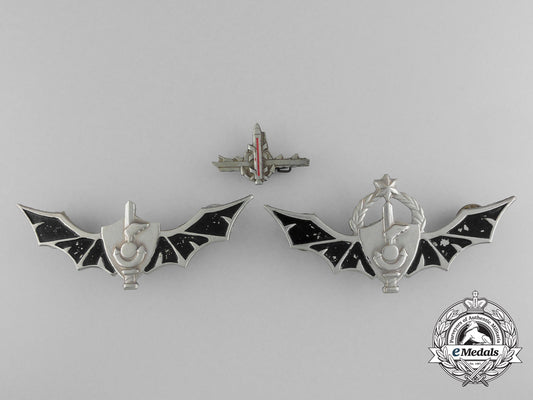 three_israeli_badges_a_0424