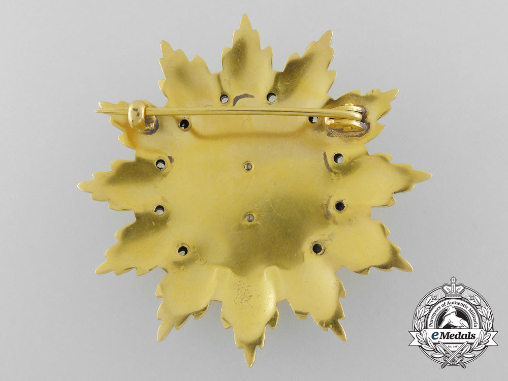 a_romanian_socialist_republic_order_of_medical_merit;1_st_class_star_a_0533_1