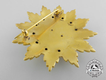 a_romanian_socialist_republic_order_of_medical_merit;1_st_class_star_a_0536_1