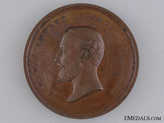 a1872_recovery_of_the_prince_of_wales_medal_a_1872_recovery__5421c191a4bd2