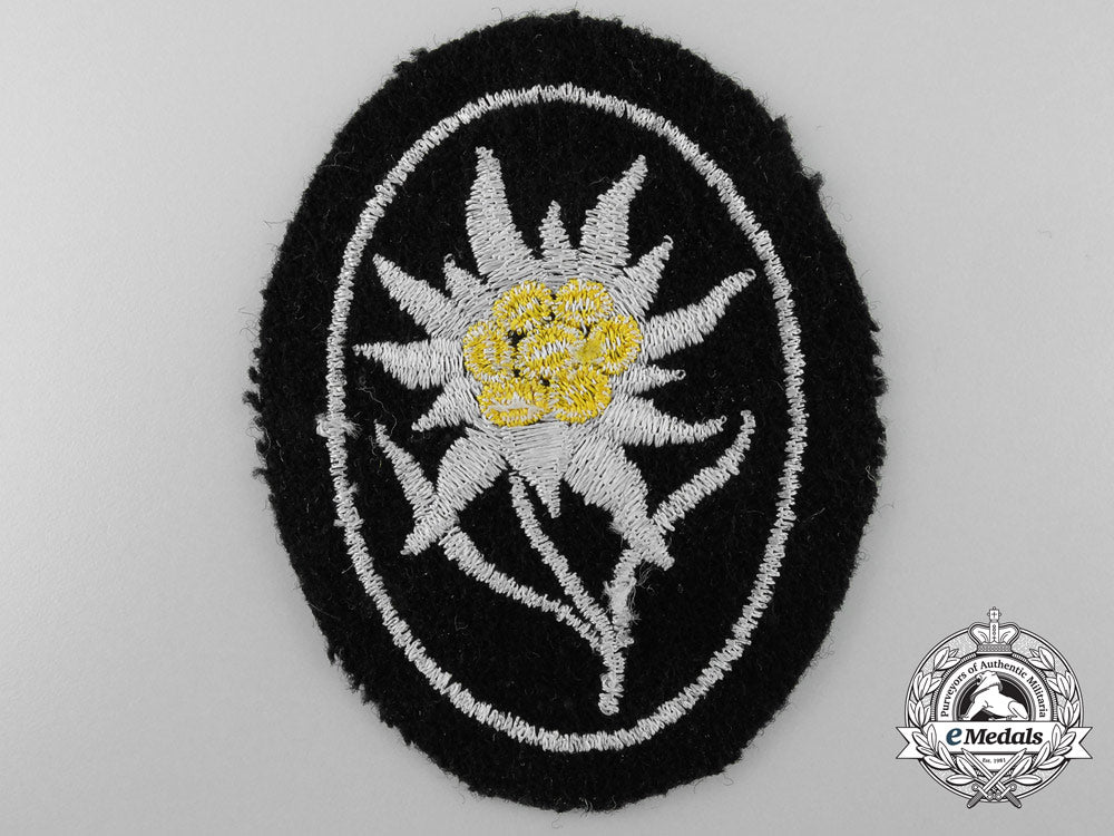 a_mint_ss_gebirgstruppen_insignia/_badge_a_2466