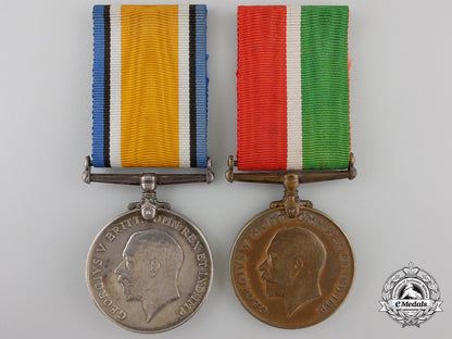 a_first_war_mercantile_marine_pair_to_newfoundlander_a_352