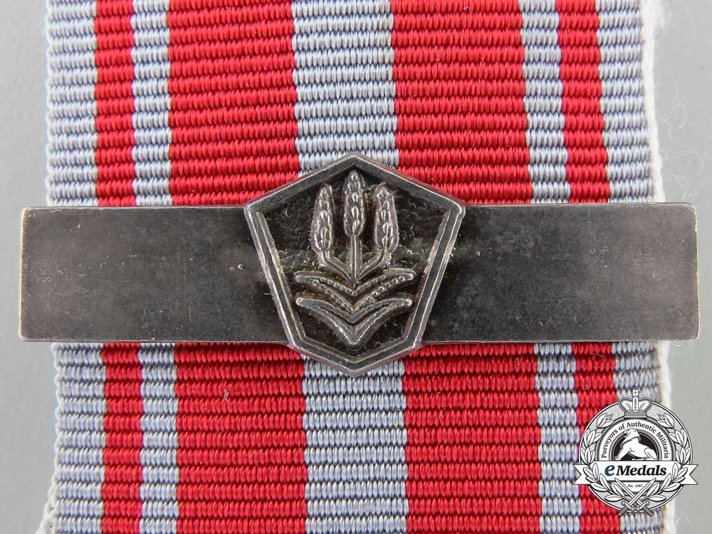 a_south_african_police_medal_for_combatting_terrorism_a_5312