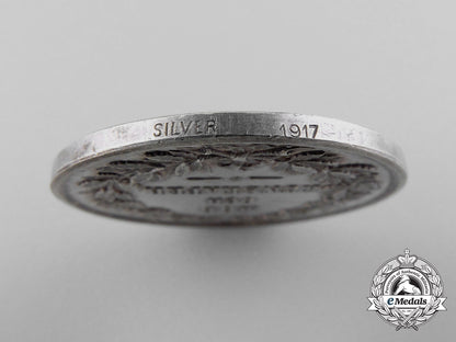 sweden,_kingdom._a1917_defence_of_the_fatherland_medal_a_5666